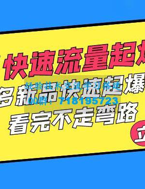 拼多多 · 快速流量起爆实战：拼多多新品快速起爆实操，看完不走弯路