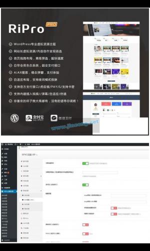 带美化包的RiPro 4.6版资源下载模板 WordPress主题模板 官方售价400元