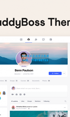 WordPress 定制主题BuddyBoss v2.4.30：个性化程度达到新高