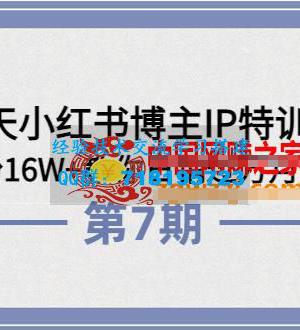 28天小红书博主IP特训营《第6+7期》：4个月涨粉16W+教你日销过万月营收30万