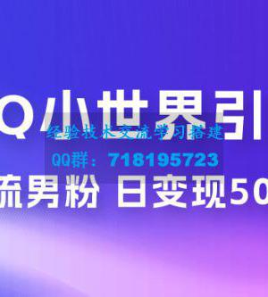 零投资无风险，小白易上手，QQ 小世界脚本引流男粉，日变现 500+