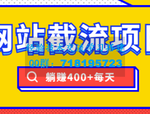 网站截流项目：自动化快速，长久赚变，实战3天即可躺赚400+每天