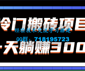 冷门搬砖项目，新手无脑上手，公众号每天发图片也能轻松躺赚300