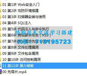 Web安全从入门到进阶课程 入门必备 WEB安全开发实战