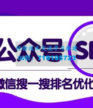 公众号SEO-微信搜一搜排名优化课，每日被动精准引流上百