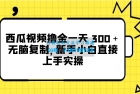     西瓜视频每天轻松赚取300元以上，零基础复制实操，新手小白也能直接上手
