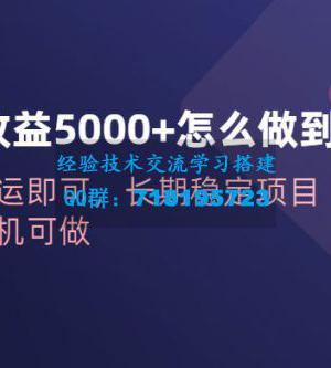 一天收益 5000+ 怎么做到的？无脑搬运即可，长期稳定项目，一部手机可做