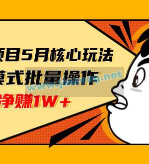 闲鱼赚钱项目核心玩法，无货源模式批量操作，每月净赚1W+（共2节视频）