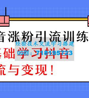 陈江雄抖音涨粉引流训练营，零基础学习抖音引流与变现