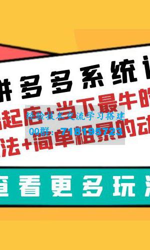 拼多多系统课：0 基础起店+当下最牛的低价起量玩法+简单粗暴的动销玩法