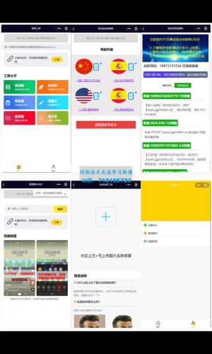 全球手机验证码发放+短视频去水印等组合微信小程序源码