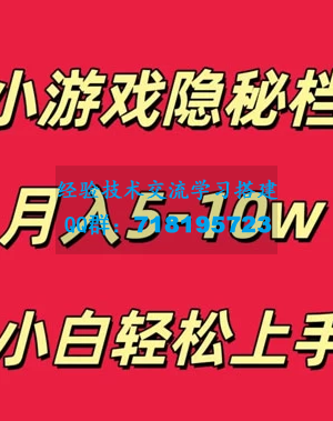 小白也能轻松上手，玩转小游戏隐秘档案轻松月入5-10万元