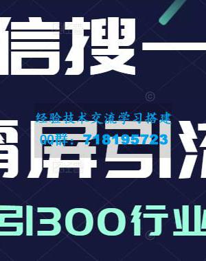 微信搜一搜霸屏引流课，打造被动精准引流系统，轻松日引300行业精准粉