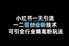     小红书一天引流一二百创业粉技术 可引全行业精准粉玩法
