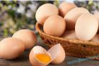     免费模式:鸡场的土鸡蛋免费送，还能赚钱的新模式!

