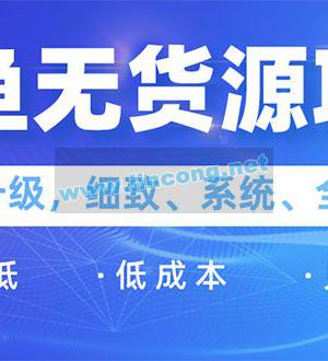 闲鱼无货源项目：0基础玩转闲鱼价格差 信息差，轻松月入过万元