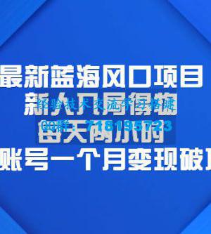 最新蓝海风口项目，新人入局得物：每天两小时，单账号一个月变现破万