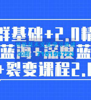 孤狼电商店群全套教程：店群基础+2.0精细化蓝海+深度蓝海+裂变课程2.0