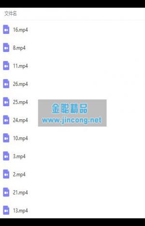 从入门到进阶全面系统学习Webpack视频教程