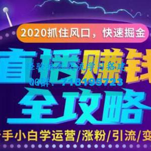 轻松月入10万+的直播赚钱攻略，教你涨粉引流带货变现