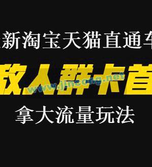 最新淘宝天猫直通车《无敌人群卡首屏》拿大流量玩法-震撼发布